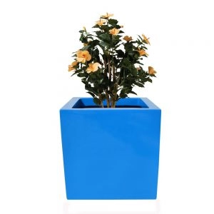 h88c8cc046c1b49449c8167993100a82di 1 300x300 51296